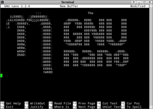 Editor nano terminal